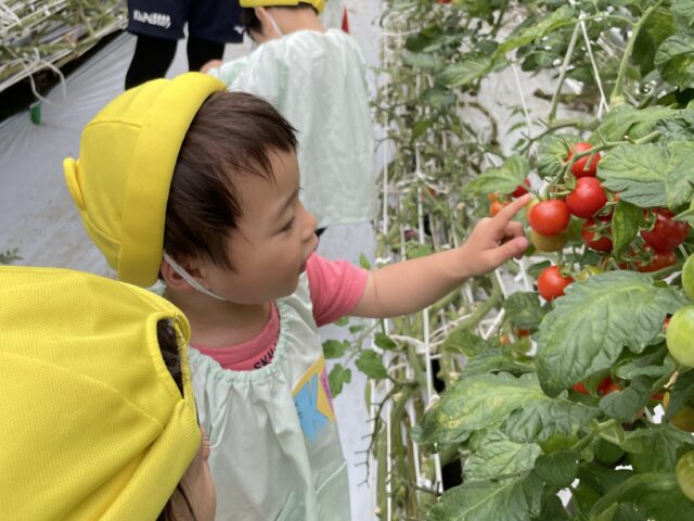 2024年5月の園外保育（くま組）