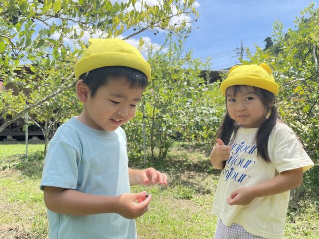 2024年7月の園外保育（くま組）