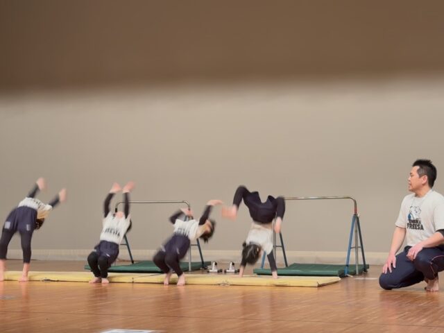 Instagram、YouTube（演舞会発表）更新しました！